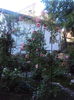 DSC07855