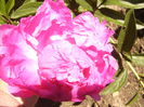 P1240470