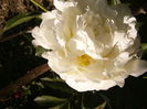 P1240472