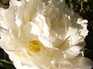 P1240473