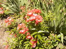 P1240476