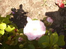 P1240478