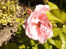P1240491