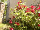 P1240496