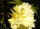 P1240500