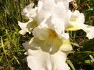 P1240502