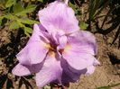 P1240507