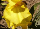 P1240509