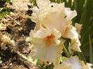 P1240514