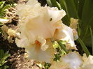 P1240515