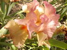 P1240520