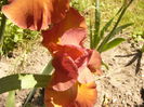 P1240523