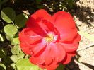 P1240527
