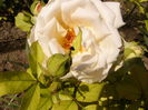 P1240529