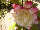 P1240544