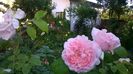 WP_20150530_123