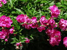 DSC01048