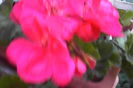 IMG_20150514_202933