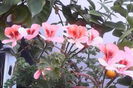 IMG_20150523_192939
