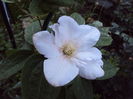 DSC07614