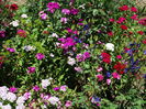 DSC01155