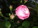 20150531_193622