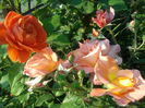 20150601_064401