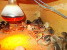 DSCN0476