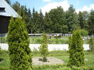 P1130516