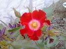 20150530_155519