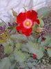 20150530_155540