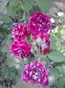 20150530_180754