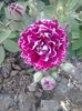 20150530_180818