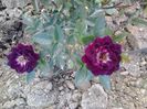 20150530_193631