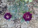 20150530_193644