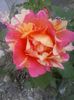 20150531_193557