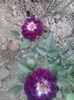 20150531_193748