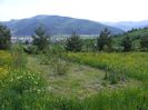 Gradina