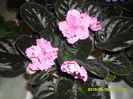 SAM_9757
