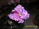 SAM_9765