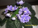 SAM_9767