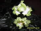 SAM_9777