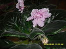 SAM_9778