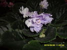SAM_9779
