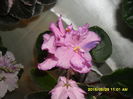 SAM_9783