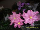 SAM_9797