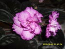 SAM_9798