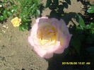 SAM_9818