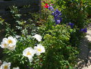 Krinkled White