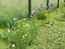 29 mai 060
